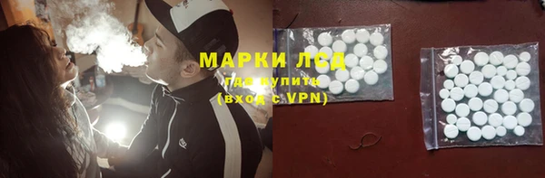 гашик Аркадак