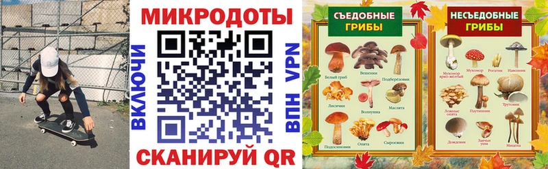 Псилоцибиновые грибы Magic Shrooms  цены наркотик  маркетплейс официальный сайт  Чехов 